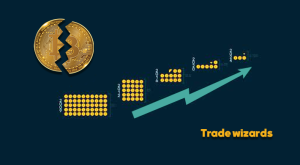 Macroeconomic indicators , forex , Trader , Halving , Bitcoin , tradewizards ,Market , Cryptocurrency , Fundamental