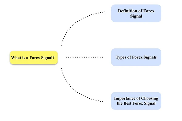 How to Choose the Best Forex Signal Provider