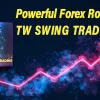 TW Swing Trading Robot, Smart Swing EA , trading robot