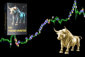 TW Trend Hunter ، TW Trend Hunter